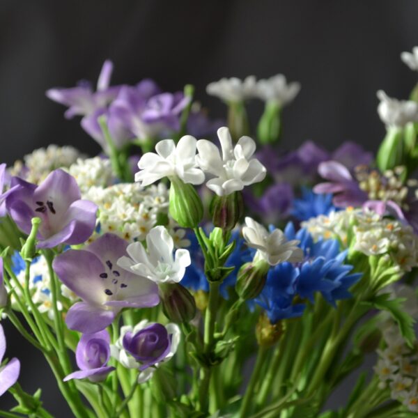 Выставка «Прогулка по парку. Флора Царицына в произведениях искусства и фотографиях»