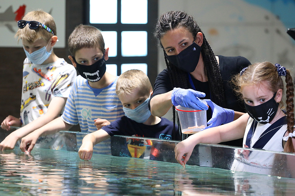 Куда сходить на выходных в Москве:  концерт «Чайф», ювелирная выставка и квесты в Москвариуме 