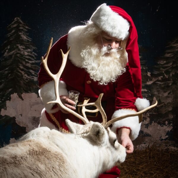 Парад елок в Технополисе