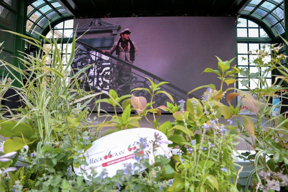 На фестивале Московское варенье бесплатно покажут советские фильмы и новые мультики