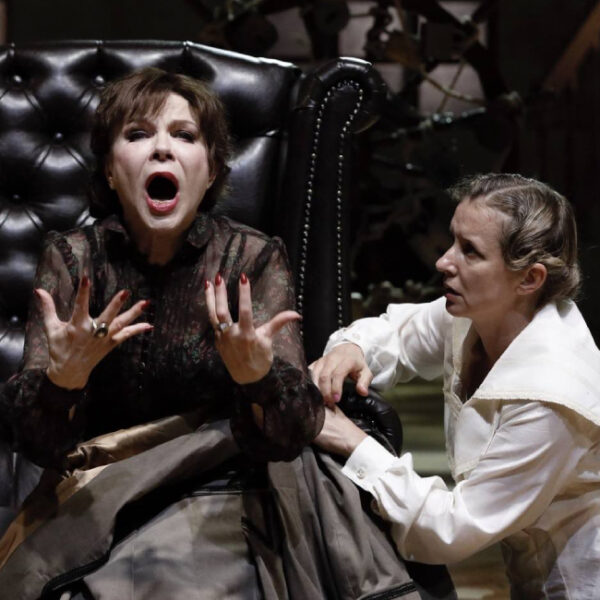 Спектакль «Васса Железнова»