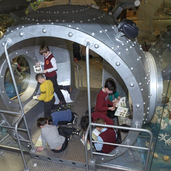 Фестиваль «Путеводная нить» в Дарвиновском музее