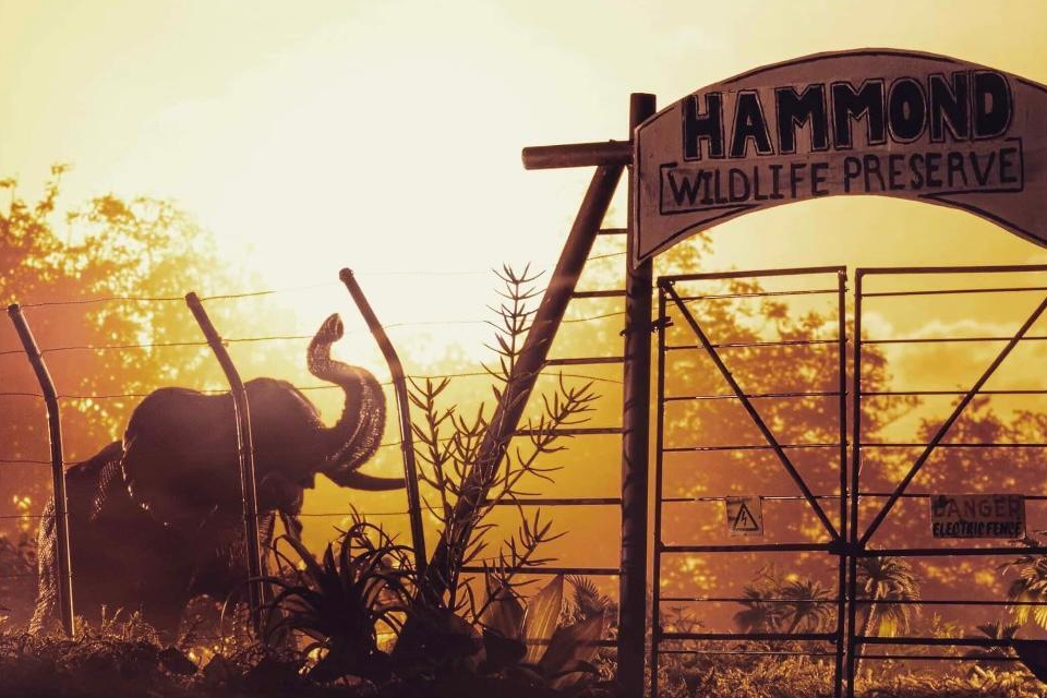 Фильм «Мир Юрского периода: Перерождение» (2025): перезагрузка культовой картины с Джонатаном Бейли и Скарлетт Йоханссон