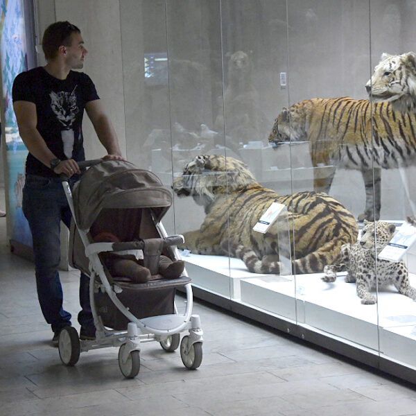 День отца в Дарвиновском музее