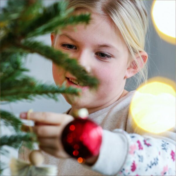 Благотворительный фестиваль «Елка добра и равных возможностей»