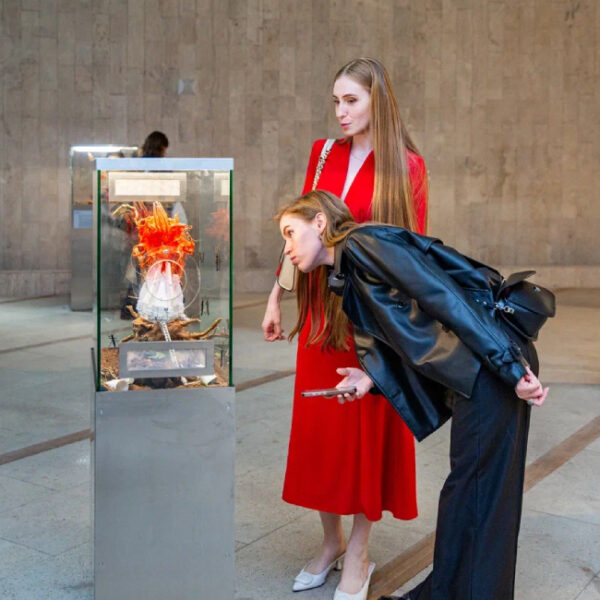 Фестиваль «БукашкиФест» в Биологическом музее