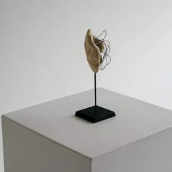 Выставка «Каракули. Линии и эмоции»