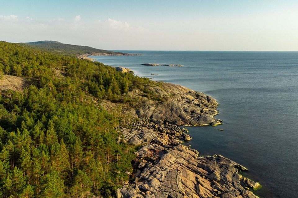 20 лучших песен о море: от Муслима Магомаева и Юрия Антонова до Жанны Фриске и Евгения Трофимова