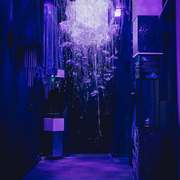 Выставка «СЕНС. Почувствуй стихии» в Центре МАРС