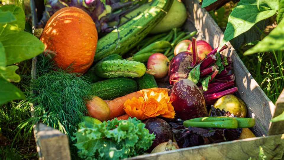 Диета при холецистите