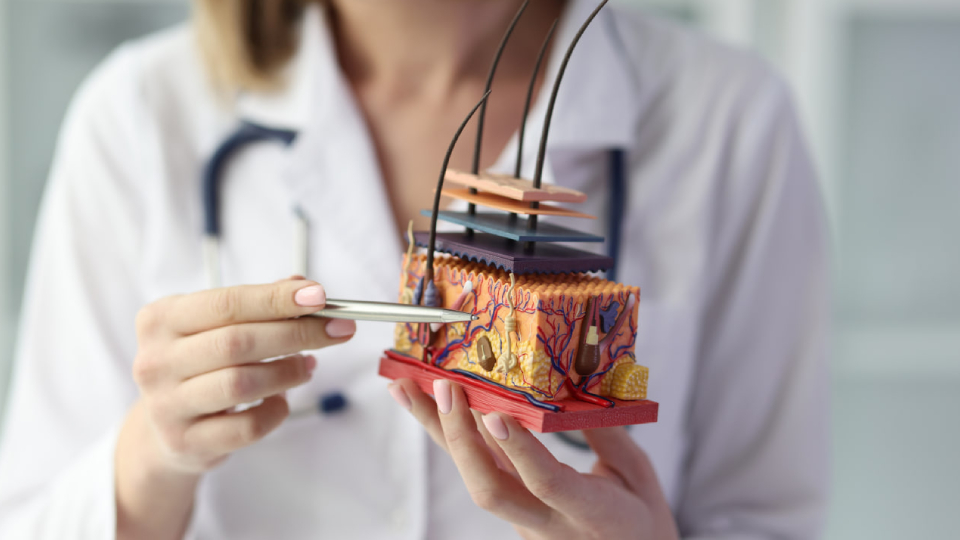 Как укрепить сосуды в организме