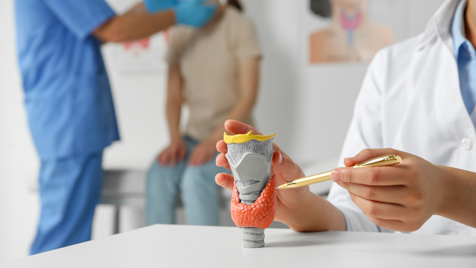 Эндокринолог