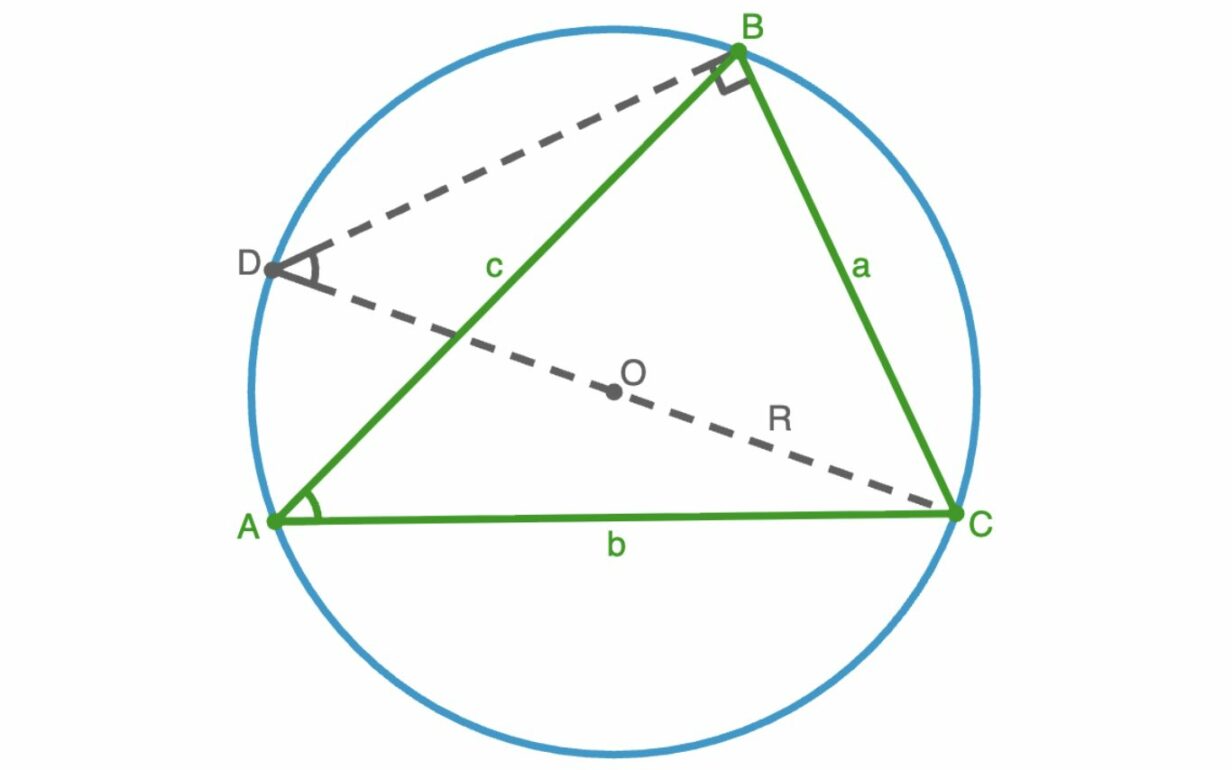 Доказательство следствия теоремы синусов. Изображение: Ирина Соколова