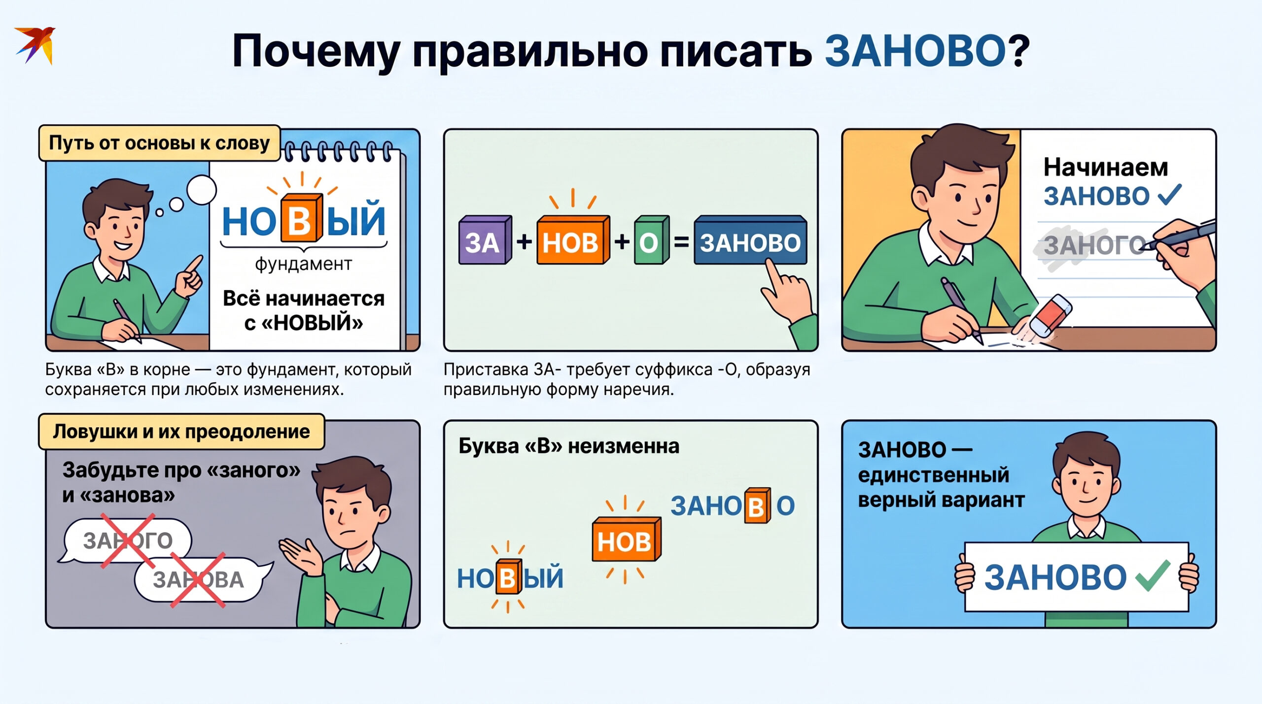 ЗАНОВО инфографика