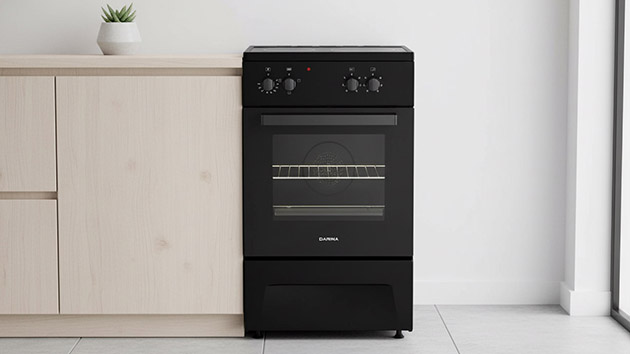 DARINA 1F 5606. Фото: Павел Громов / Нейросеть