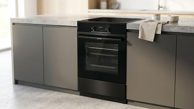 Gorenje GEIT5C60BPG. Фото: Татьяна Фадеева / Нейросеть