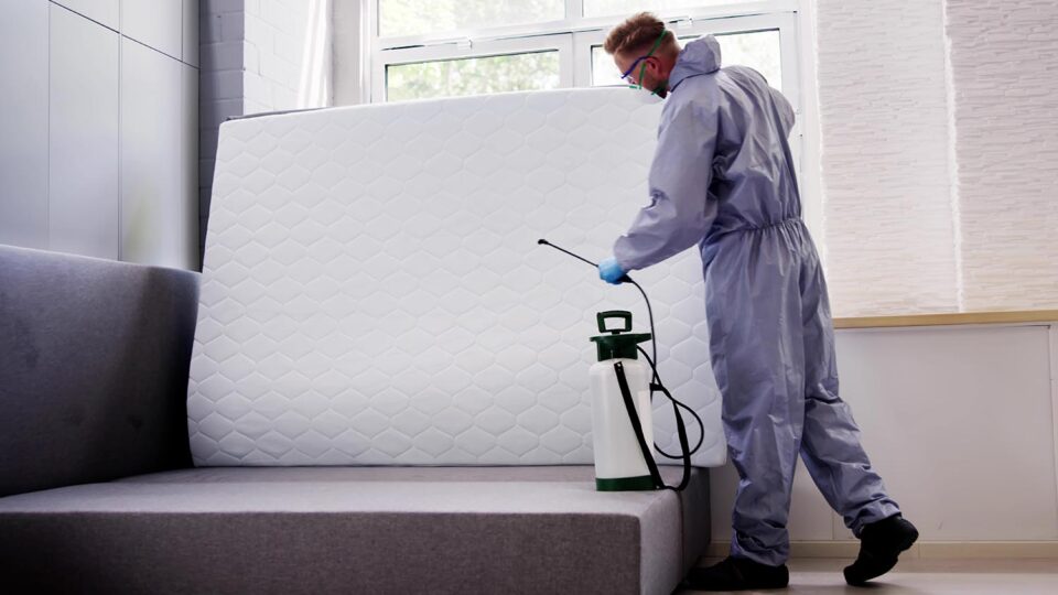 Специалист по дезинсекции. Фото: Andrey_Popov / Shutterstock / Fotodom