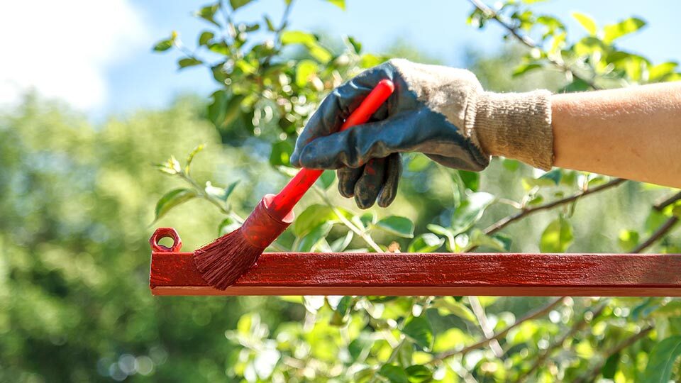 Top 10 barev na kov v roce 2023