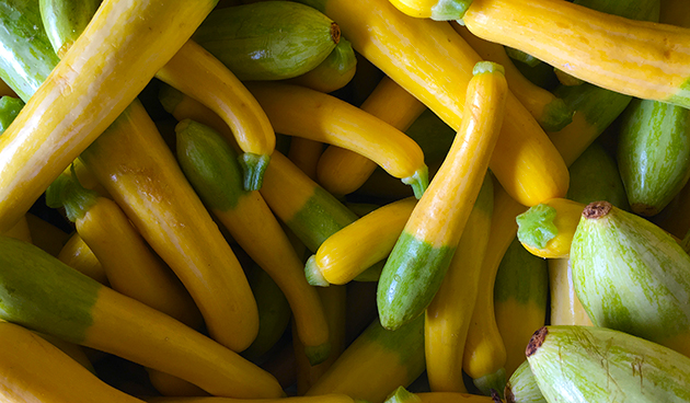 Двухцветные кабачки