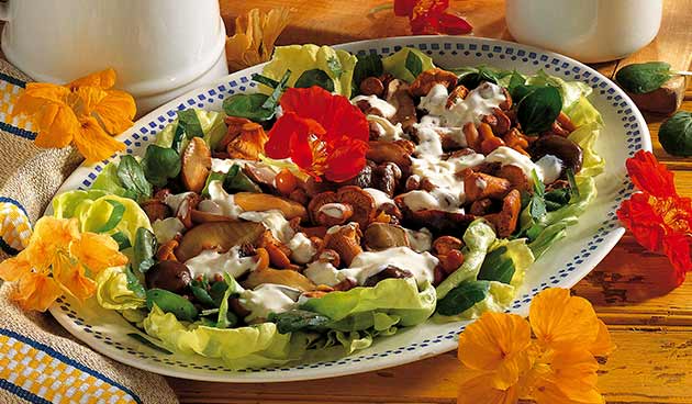 Салат «Полянка»