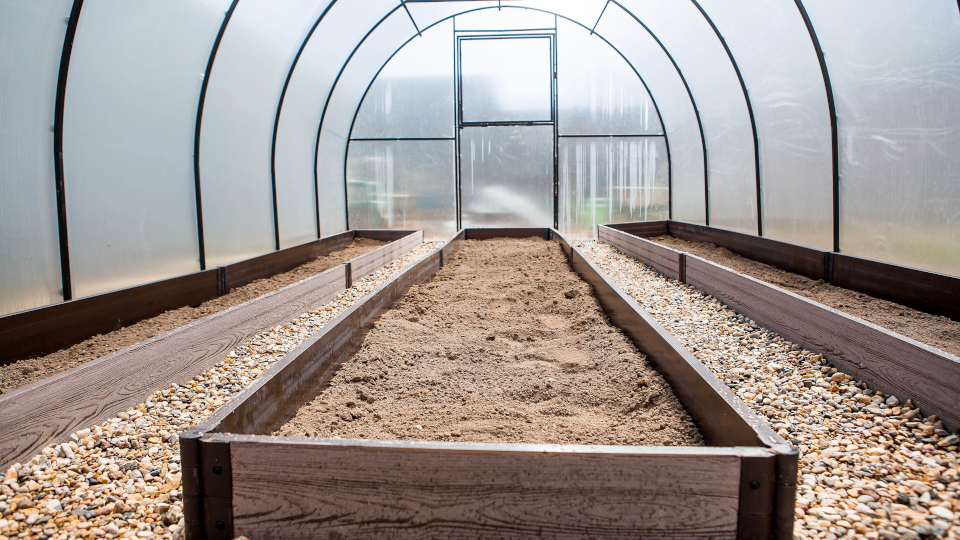 Обработка теплицы весной от болезней и вредителей