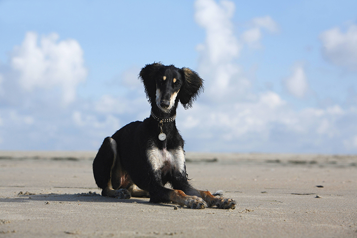 Фотографии