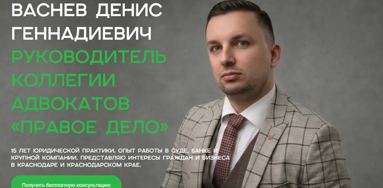 Васнев Денис («Правое дело»)