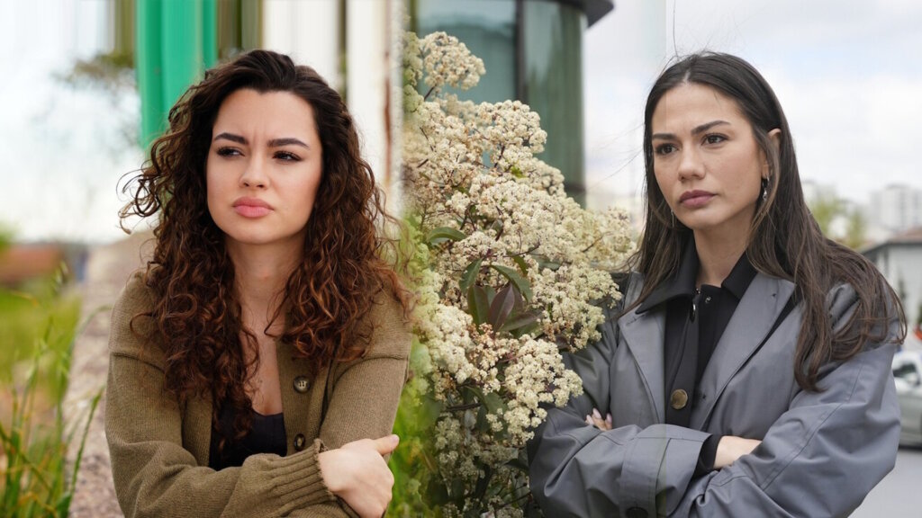 Жыныс мүшесі және қынапшасы бар бисексуалдар бейнеленген порно