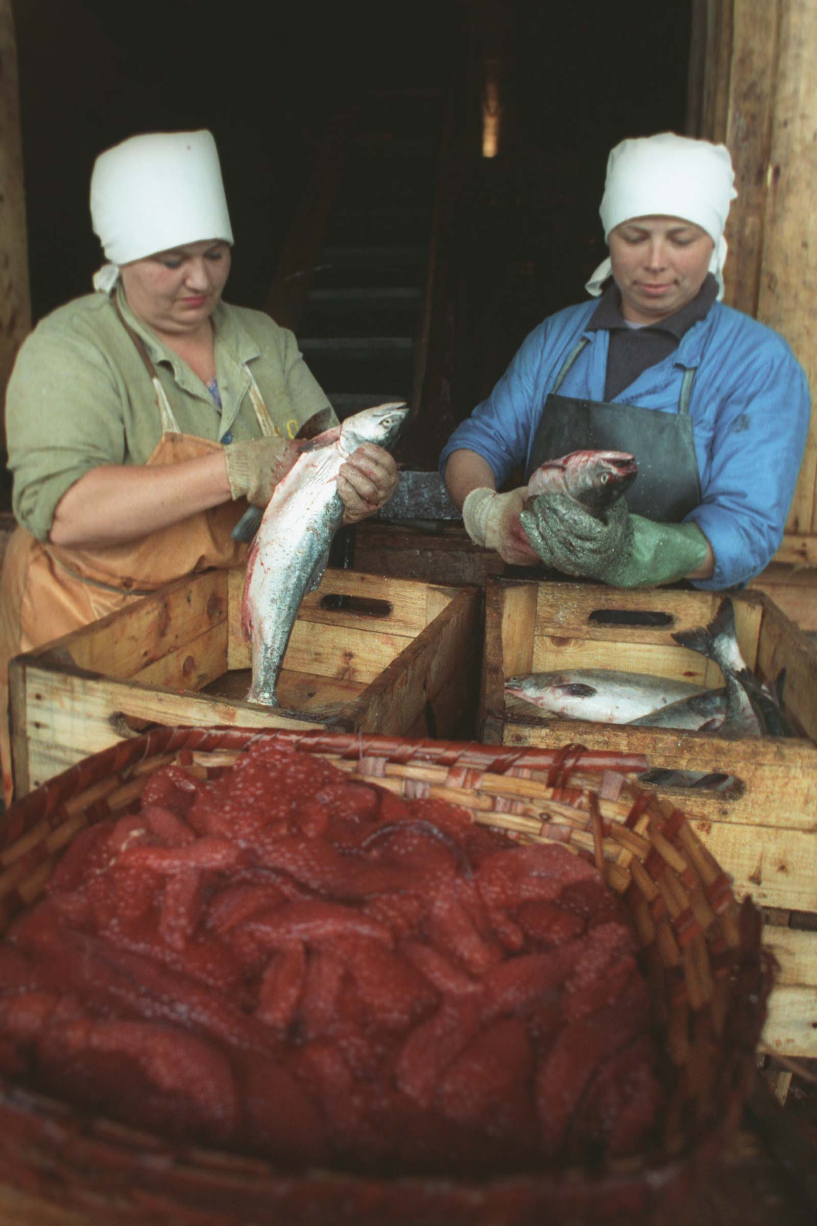 экспедиция на курилы 17