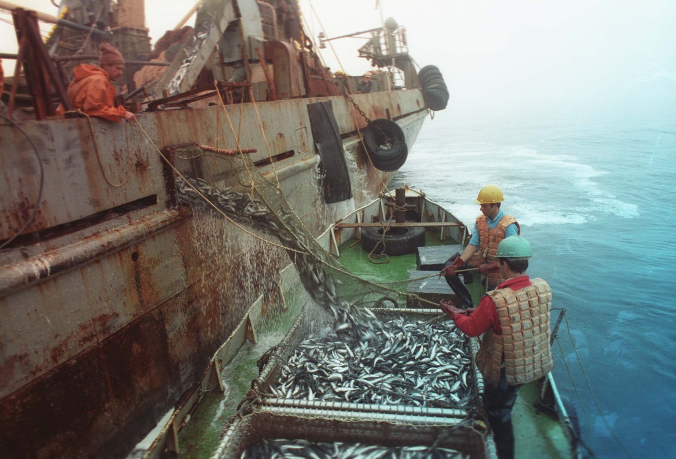 экспедиция на курилы 21