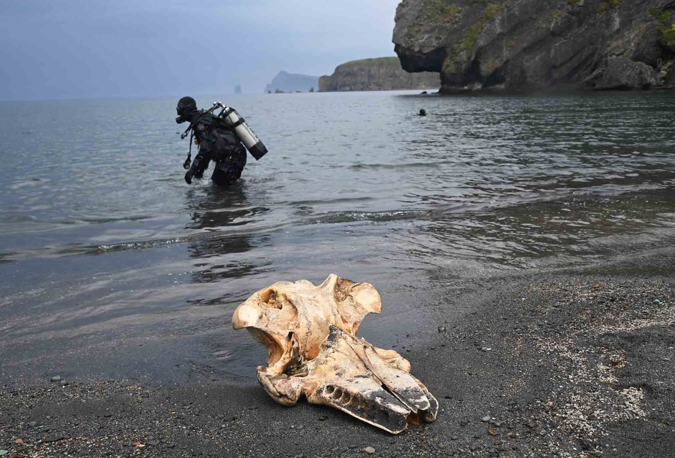 !экспедиция на курилы VEL_0638