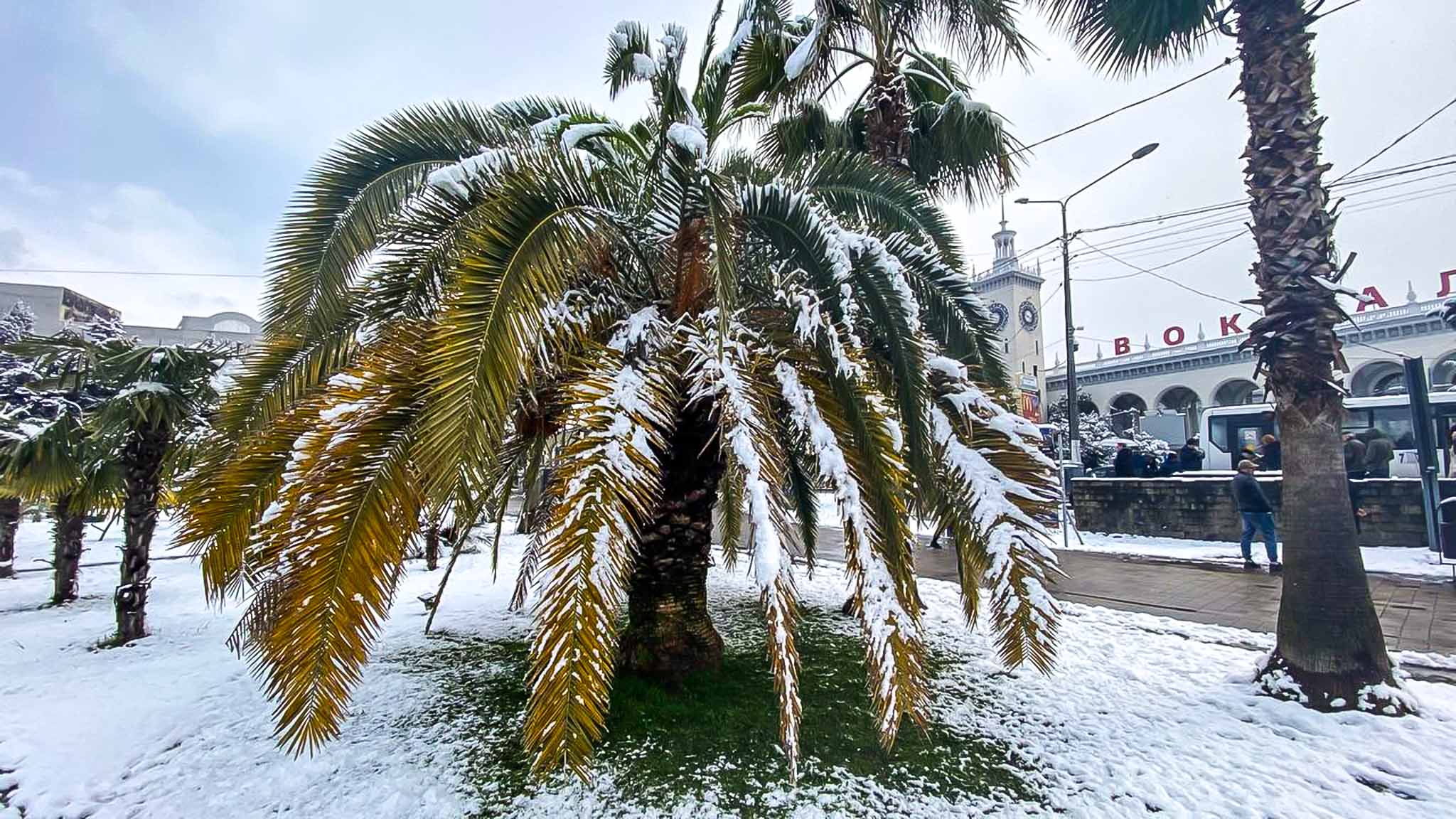 Штормовое предупреждение. В сочи выпал снег. Сильный снегопад в сочи. Снег в сочи. Когда в сочи выпадает снег.