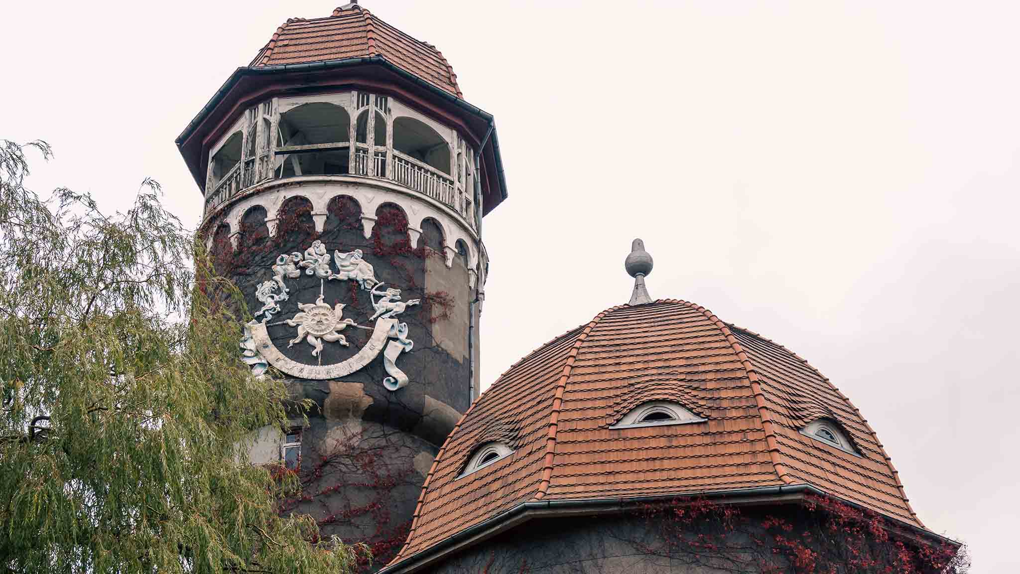 Жалаңаш кәрі ана