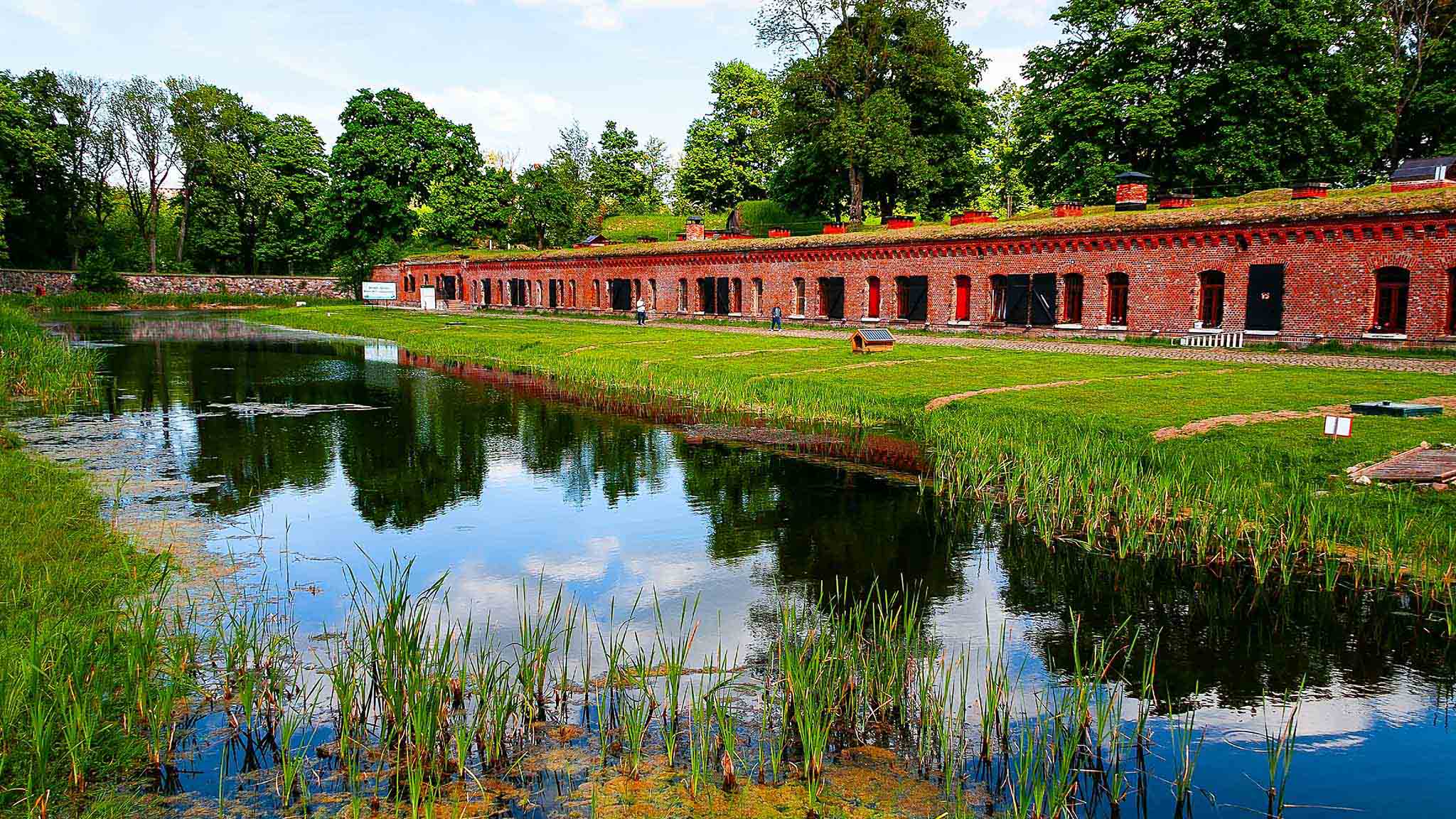 Toyda xotinim bilan porno Men buni birinchi marta eshakdagi pornoga berdim.