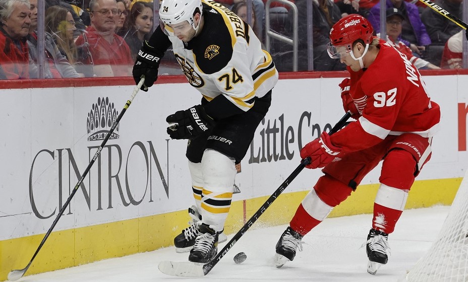 Нападающий «Детройт Ред Уингз» Владислав Наместников ведет борьбу за шайбу. Фото: Reuters