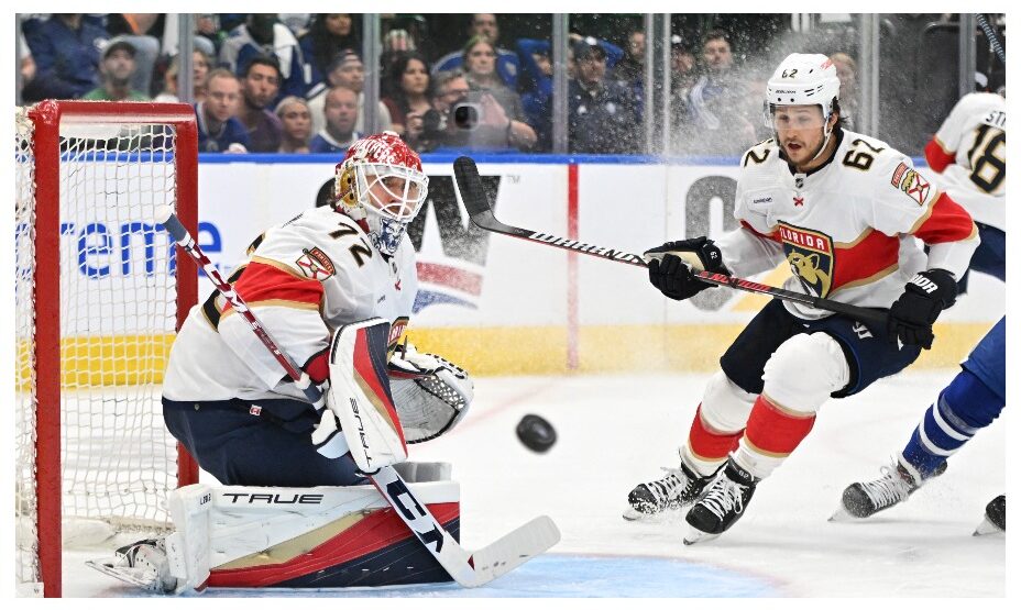 Сергей Бобровский, хоккей