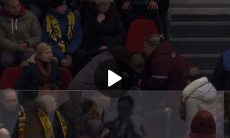 Шайба попала в голову, фото снимок экрана