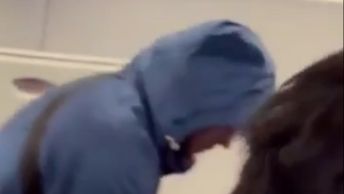 Хабиба Нурмагомедова сняли с авиарейса в США. Фото: стоп-кадр видео