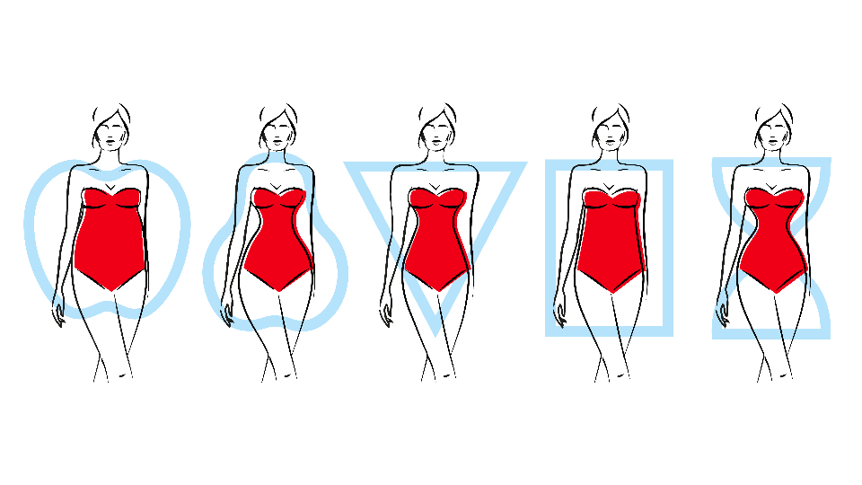 Типы женских фигур в 2025 году