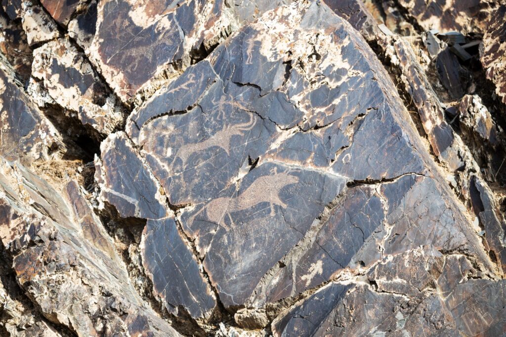 Наскальные изображения животных в ущелье Сармыш, Нуратинский хребет.