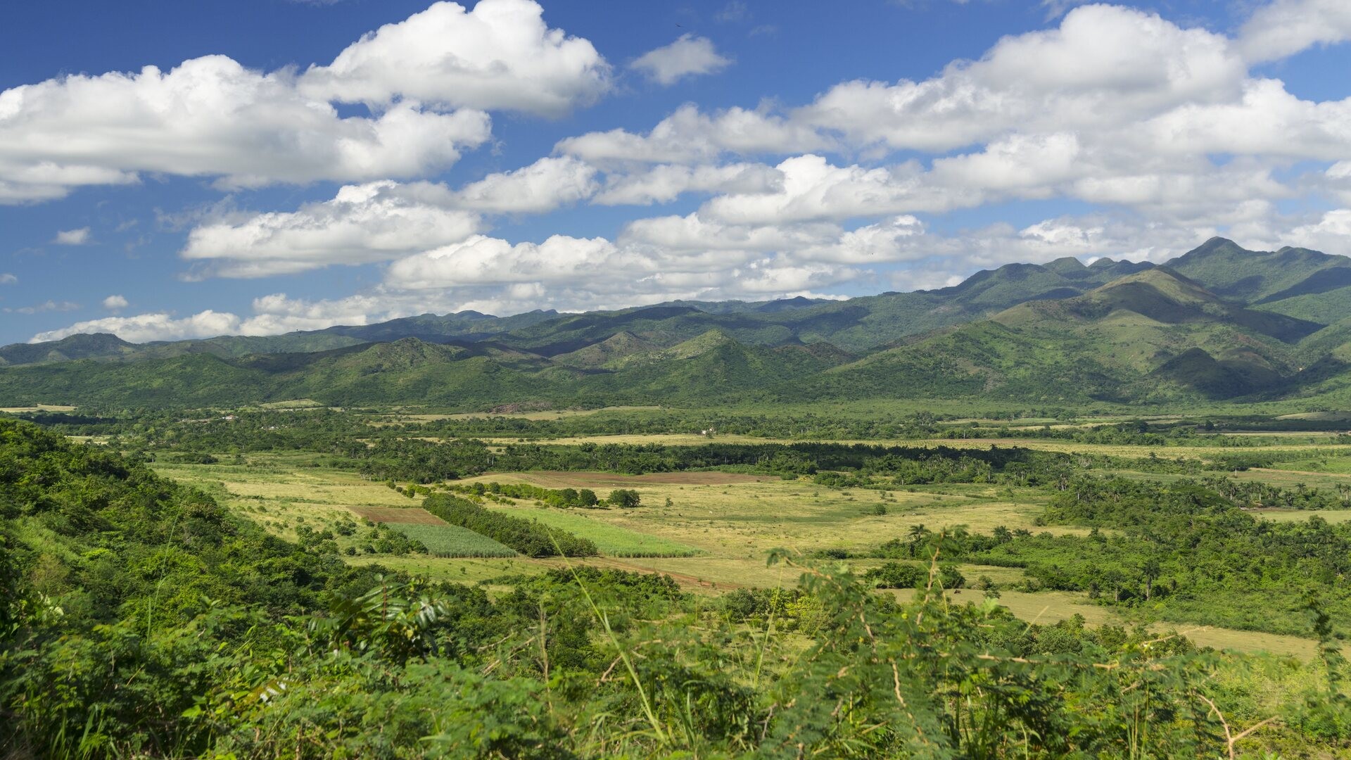 Долина сахарных заводов, к северо-востоку от Тринидада.
