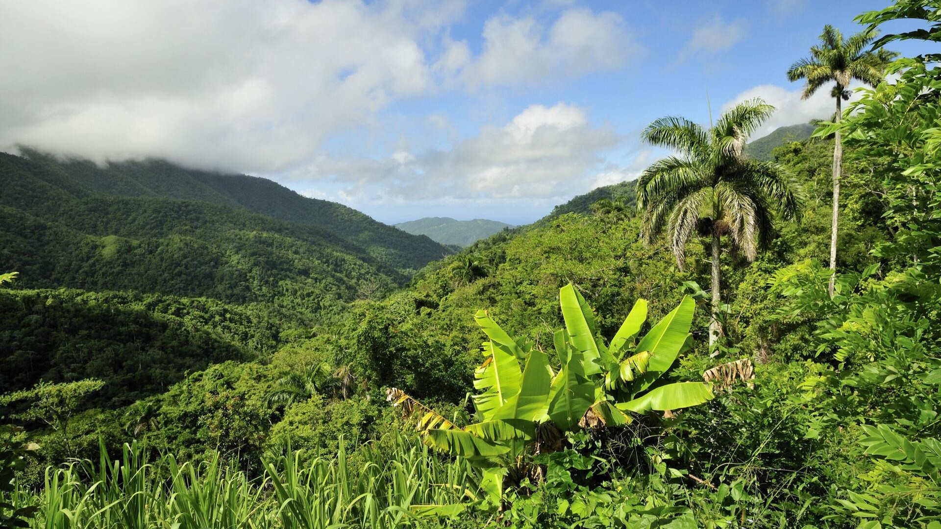 Пейзаж Национального парка Сьерра-Маэстра, Куба.